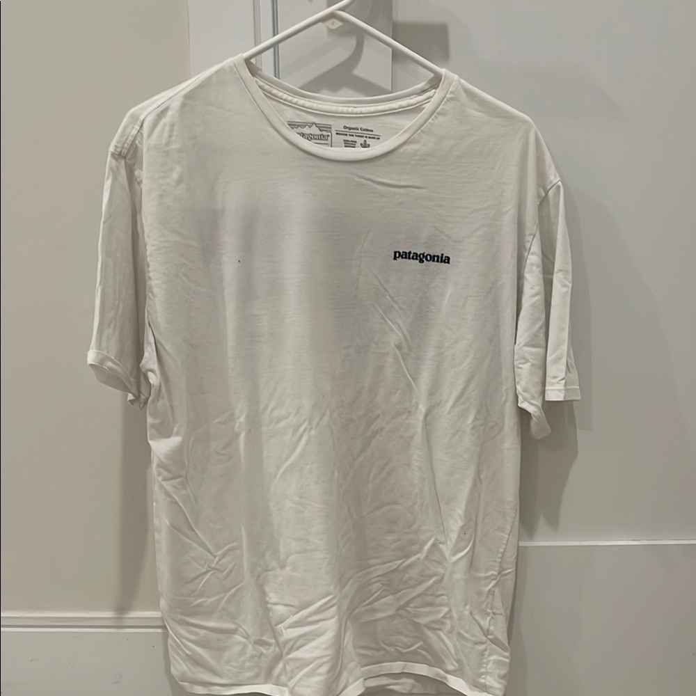 Patagonia Men's Classic White Tee